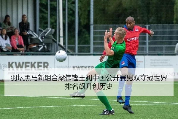羽坛黑马新组合梁伟铿王昶中国公开赛男双夺冠世界排名飙升创历史